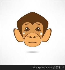 Crying Monkey.