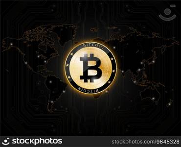 Crypto currency golden coin with black lackered Vector Image