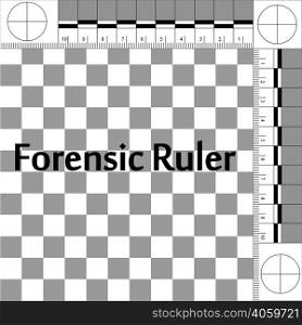CSI Forensic Ruler, ruler forensic mobile lab for photographing evidence at the crime scene, vector true scale