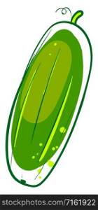 Cucumber drawing, illustration, vector on white background.