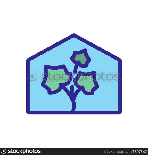 cucumber in the greenhouse icon vector. cucumber in the greenhouse sign. color isolated symbol illustration. cucumber in the greenhouse icon vector outline illustration