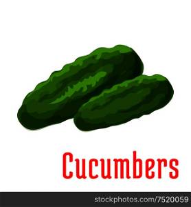 Cucumber vegetable icon. Vector isolated cucumbers. Fresh food product element for sticker, grocery shop, farm store element. Cucumber vegetable vector icon
