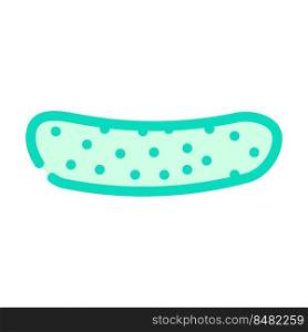 cucumber with pimples color icon vector. cucumber with pimples sign. isolated symbol illustration. cucumber with pimples color icon vector illustration