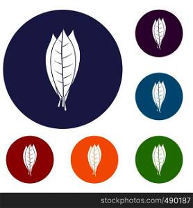 Culinary bay leaves icons set in flat circle red, blue and green color for web. Culinary bay leaves icons set
