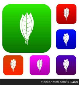 Culinary bay leaves set icon color in flat style isolated on white. Collection sings vector illustration. Culinary bay leaves set color collection