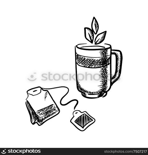 Cup of fresh black, green or herbal tea with leaves and teabag, isolated on white background. Sketch style. Cup of tea with teabag