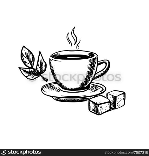 Cup of hot steaming tea with saucer, sugar cubes and fresh mint leaves isolated on white background, sketch style. Tea cup with sugar and mint leaves