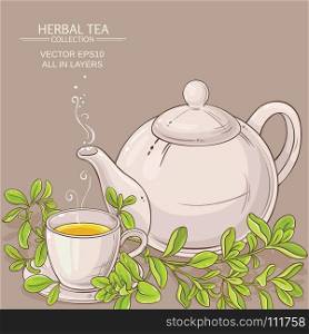 cup of marjoram tea and teapot. cup of marjoram tea and teapot on color background