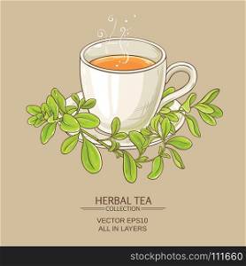 cup of marjoram tea. cup of marjoram tea on color background