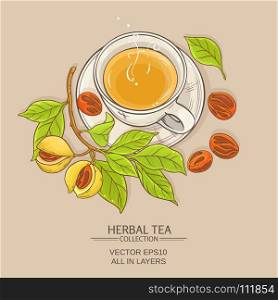 cup of nutmeg tea. cup of nutmeg tea on color background