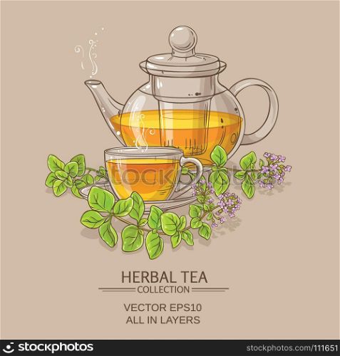 cup of oregano tea in teapot. cup of oregano tea in teapot on color background