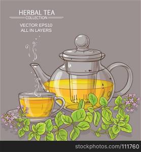 cup of oregano tea in teapot. cup of oregano tea in teapot on color background