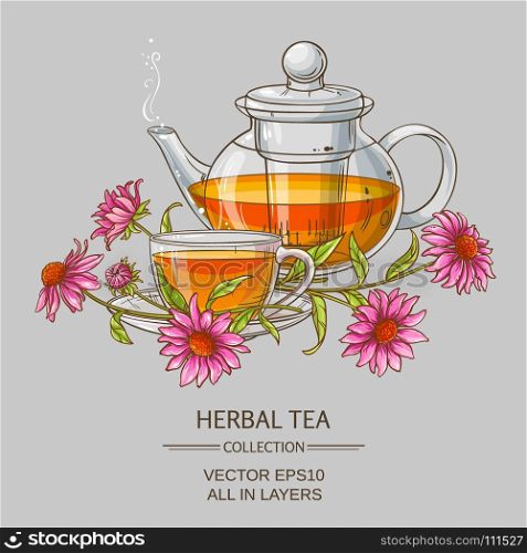 cup or echinacea tea and teapot . cup or echinacea tea and teapot on color background