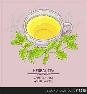 cup or peppermint tea. cup or peppermint tea on color background