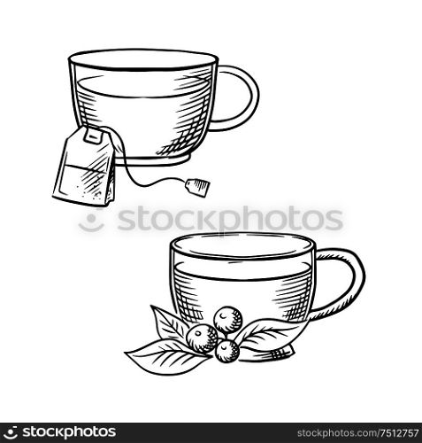 Cups of hot tea with teabag and cowberry branch with fruits and leaves. Sketch images for food and drinks theme. Cup of tea with teabag and cowberry sketches