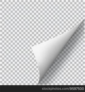 Curled corner of paper vector image