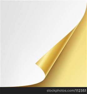 Curled Golden Metalic Corner Vector. White Paper with Shadow Mock up Close up Isolated. Curled Silver Metalic Corner Realistic Vector Illustration