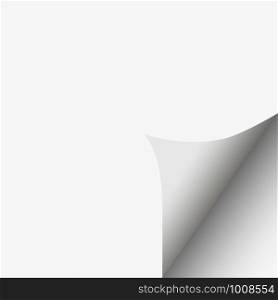 Curled Page Corner transparent silt background. Vector