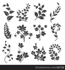 Curly branches silhouettes with leaves. Curly branches silhouettes with leaves isolated on white background. Vector illustration