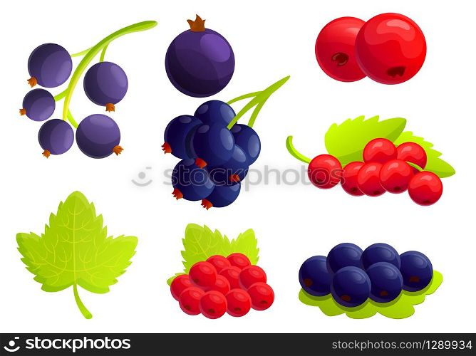 Currant berry icons set. Cartoon set of currant berry vector icons for web design. Currant berry icons set, cartoon style