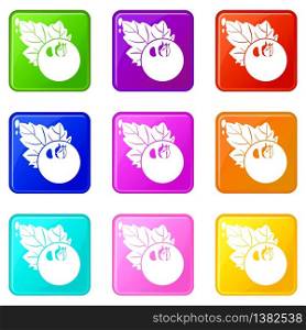 Currant icons set 9 color collection isolated on white for any design. Currant icons set 9 color collection