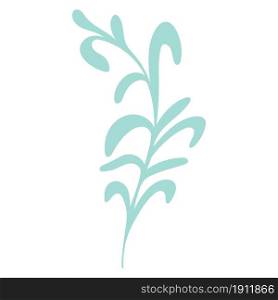 Curved green twig with elongated leaves drawn isolated botanical element. Natural decoration hand drawing. Plant for product design, invitations and cards, vector illustration.. Curved green twig with elongated leaves drawn isolated botanical element.