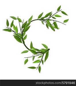 Curved Round Branch Bamboo with Green Leaves with Space for Text - vector