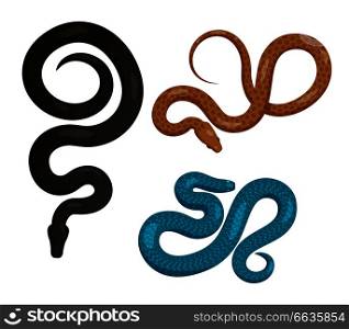 Curved slither pythons or venomous snakes from top view set. Creeping black, blue and brown tropical python vector isolated on white. Crawling poisonous reptile illustration for wild nature concepts