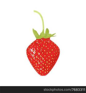 Curvy tasty ripe sweet strawberries. Vector Illustration. EPS10. Curvy tasty ripe sweet strawberries. Vector Illustration
