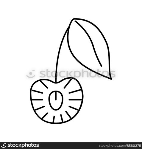 cut cherry line icon vector. cut cherry sign. isolated contour symbol black illustration. cut cherry line icon vector illustration
