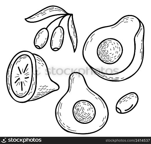 Cut halves of avocado and lemon, branch with olives. Collection of vector linear hand drawn fruits and fruits. Vector illustration. Isolated elements for design, decor and decoration