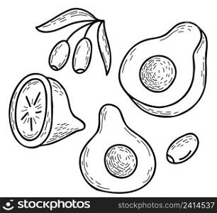 Cut halves of avocado and lemon, branch with olives. Collection of vector linear hand drawn fruits and fruits. Vector illustration. Isolated elements for design, decor and decoration