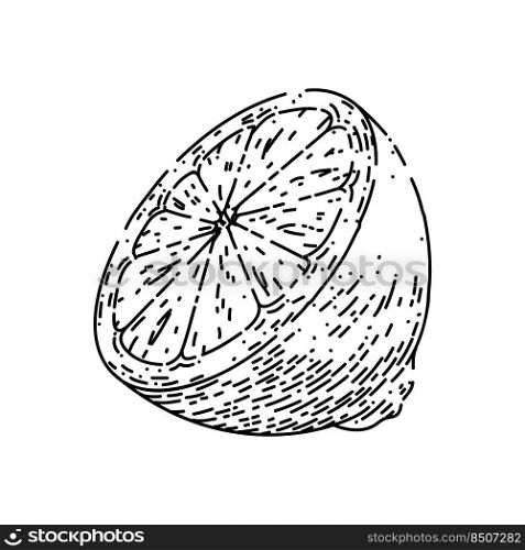 cut lemon hand drawn vector. slice fruit, citrus half, fresh food, citron cut lemon sketch. isolated black illustration. cut lemon sketch hand drawn vector