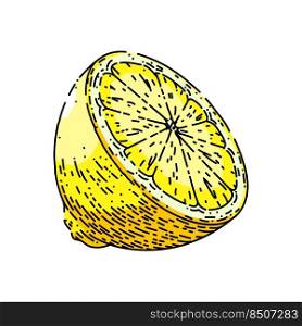 cut lemon hand drawn vector. slice fruit, citrus half, fresh food, citron cut lemon sketch. isolated color illustration. cut lemon sketch hand drawn vector