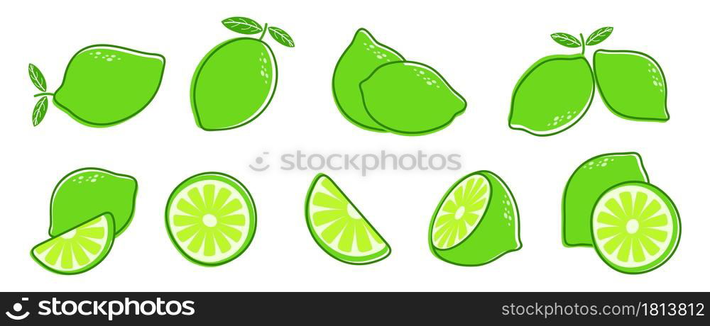 Cut lime. Fresh citrus fruit, slice and leaves. Isolated green lemon illustration, juicy organic fresh detox vitamin vector illustration. Fruit lemon vegetarian cut, vitamin detox and refreshing. Cut lime. Fresh citrus fruit, slice and leaves. Isolated green lemon illustration, juicy organic fresh detox vitamin vector illustration