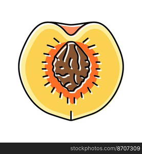 cut peach pit color icon vector. cut peach pit sign. isolated symbol illustration. cut peach pit color icon vector illustration