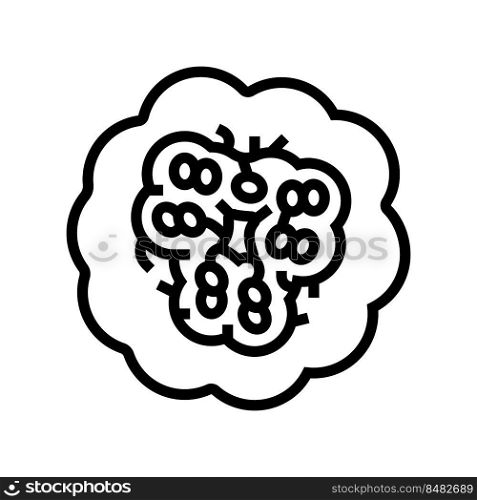 cut pumpkin from above line icon vector. cut pumpkin from above sign. isolated contour symbol black illustration. cut pumpkin from above line icon vector illustration