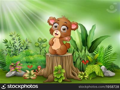 Cute a baby bear sitting on tree stump with green plants