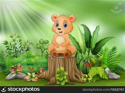 Cute a baby bear sitting on tree stump with green plants