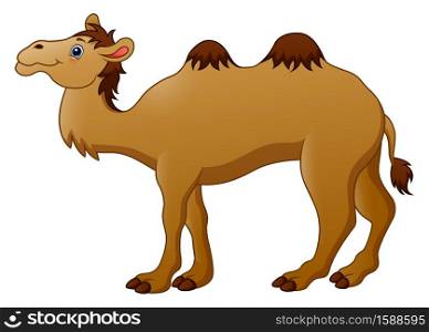 Cute a camel animal cartoon