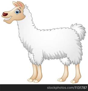 Cute alpaca cartoon isolated on white background