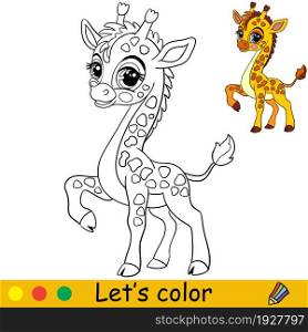 Cute and happy baby giraffe. Coloring book page with colorful template for kids. Vector cartoon isolated illustration. For print, game, education, party, design,decor. Cartoon cute baby giraffe coloring book page