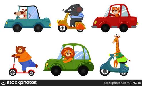 Cute animals on transport. Animal on scooter, driving car and zoo travel. Dog, elephant and tiger transportation vehicle drivers character. Cartoon isolated vector illustration icons set. Cute animals on transport. Animal on scooter, driving car and zoo travel cartoon vector illustration set