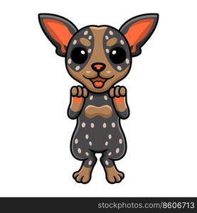 Cute australian cattle dog cartoon