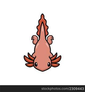 Cute axolotl cartoon swimming. Vector illustration