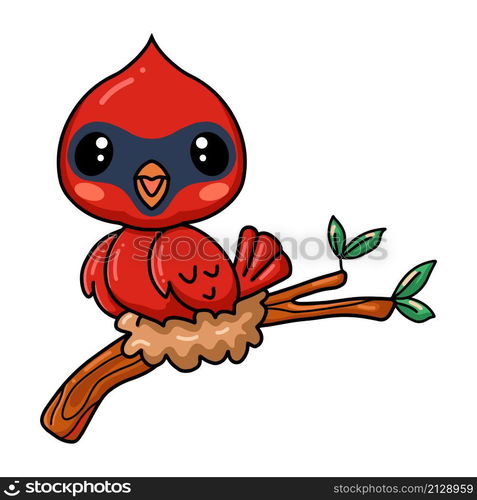 Cute baby cardinal bird cartoon on tree branch