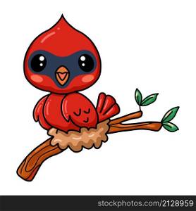 Cute baby cardinal bird cartoon on tree branch