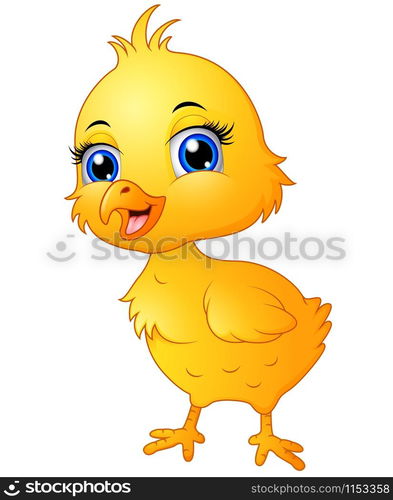 Cute baby chicken cartoon illustration