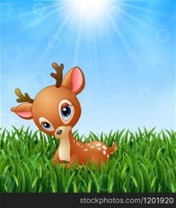 Cute baby deer cartoon in the grass on a background of bright sunshine