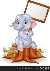 Cute baby elephant holding blank sign on tree stump